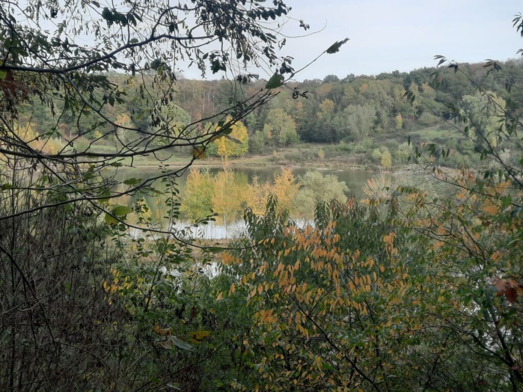 Kulinarische Wanderung im Hornpott